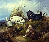 Terriers by George Armfield